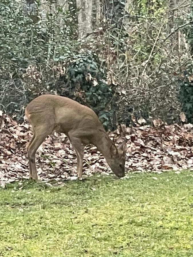 Willa Le Photinia Le Bugue Zewnętrze zdjęcie